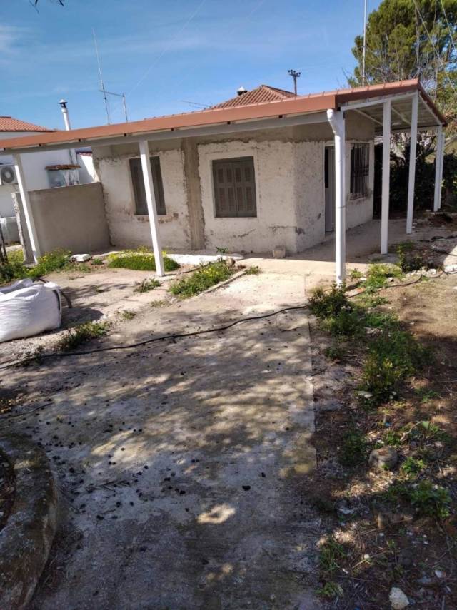 (For Sale) Residential Detached house || East Attica/Skala Oropou - 40 Sq.m, 40.000€ 