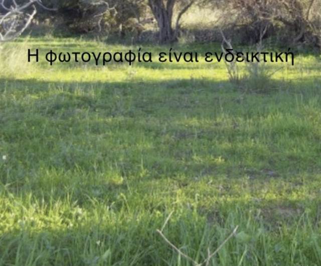 (For Sale) Land Plot || Athens North/Penteli - 1.000 Sq.m, 750.000€ 