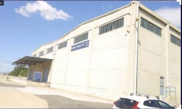 (For Rent) Commercial Industrial Area ||  West Attica/Aspropyrgos - 5.500 Sq.m, 30.300€ 
