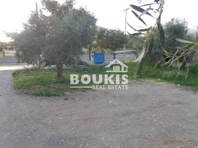 (Προς Πώληση) Αξιοποιήσιμη Γη Οικόπεδο || Ανατολική Αττική/Αχαρνές (Μενίδι) - 828 τ.μ, 300.000€ 