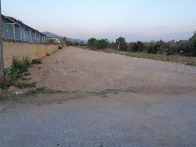 (For Rent) Land Plot || East Attica/Acharnes (Menidi) - 1.500 Sq.m, 1.000€ 