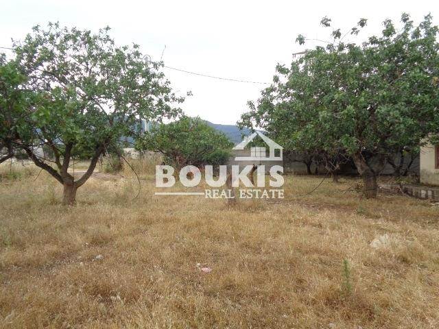 (For Rent) Land Agricultural Land  || East Attica/Acharnes (Menidi) - 7.000 Sq.m, 2.850€ 