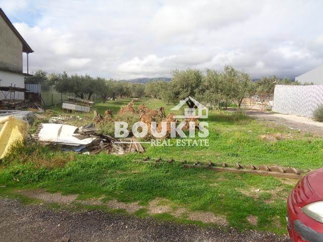 (For Rent) Land Agricultural Land  || East Attica/Acharnes (Menidi) - 1.500 Sq.m, 800€ 