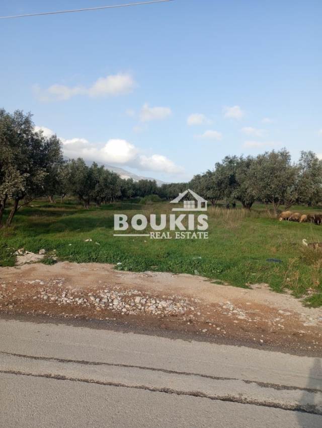 (For Sale) Land Agricultural Land  || East Attica/Acharnes (Menidi) - 2.200 Sq.m, 105.000€ 