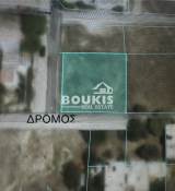 slide1 thumbnail